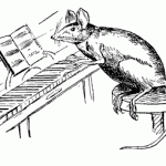A rat playing piano ...