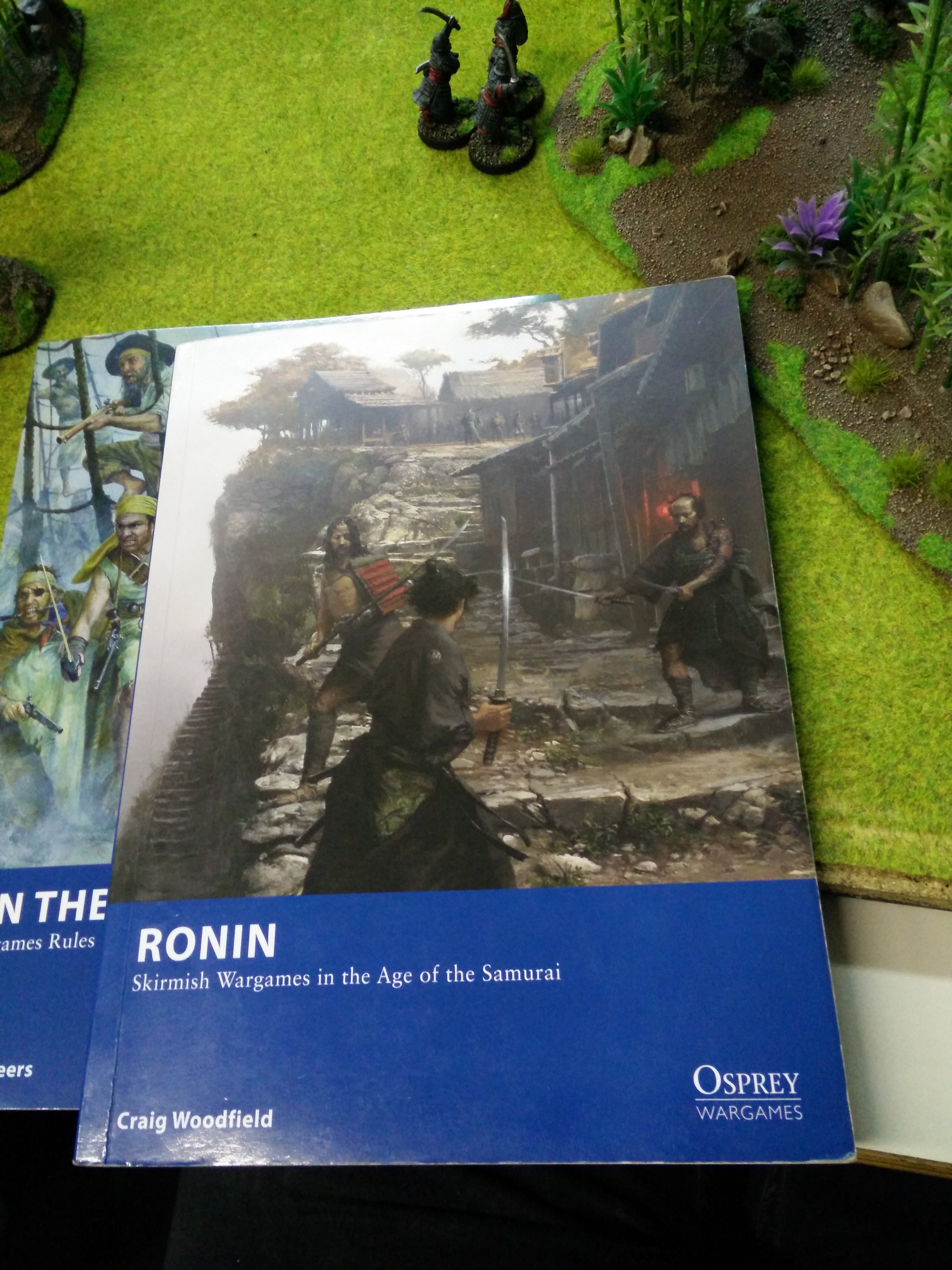 Ronin – Skirmish Wargames in the Age of the Samurai (Osprey Games, Image: obskures.de)